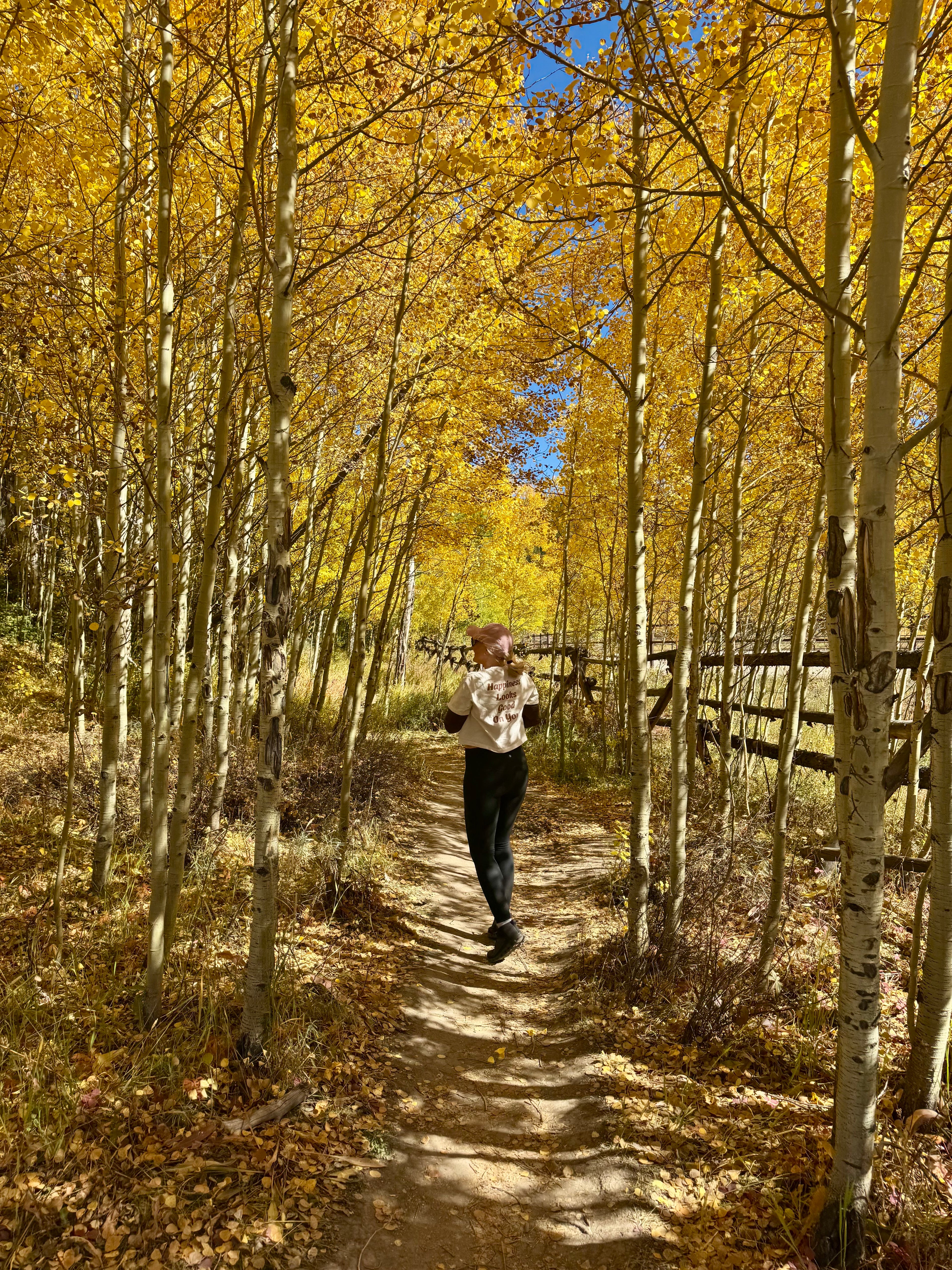 Happiness Looks Good On You Comfort Colors Tee